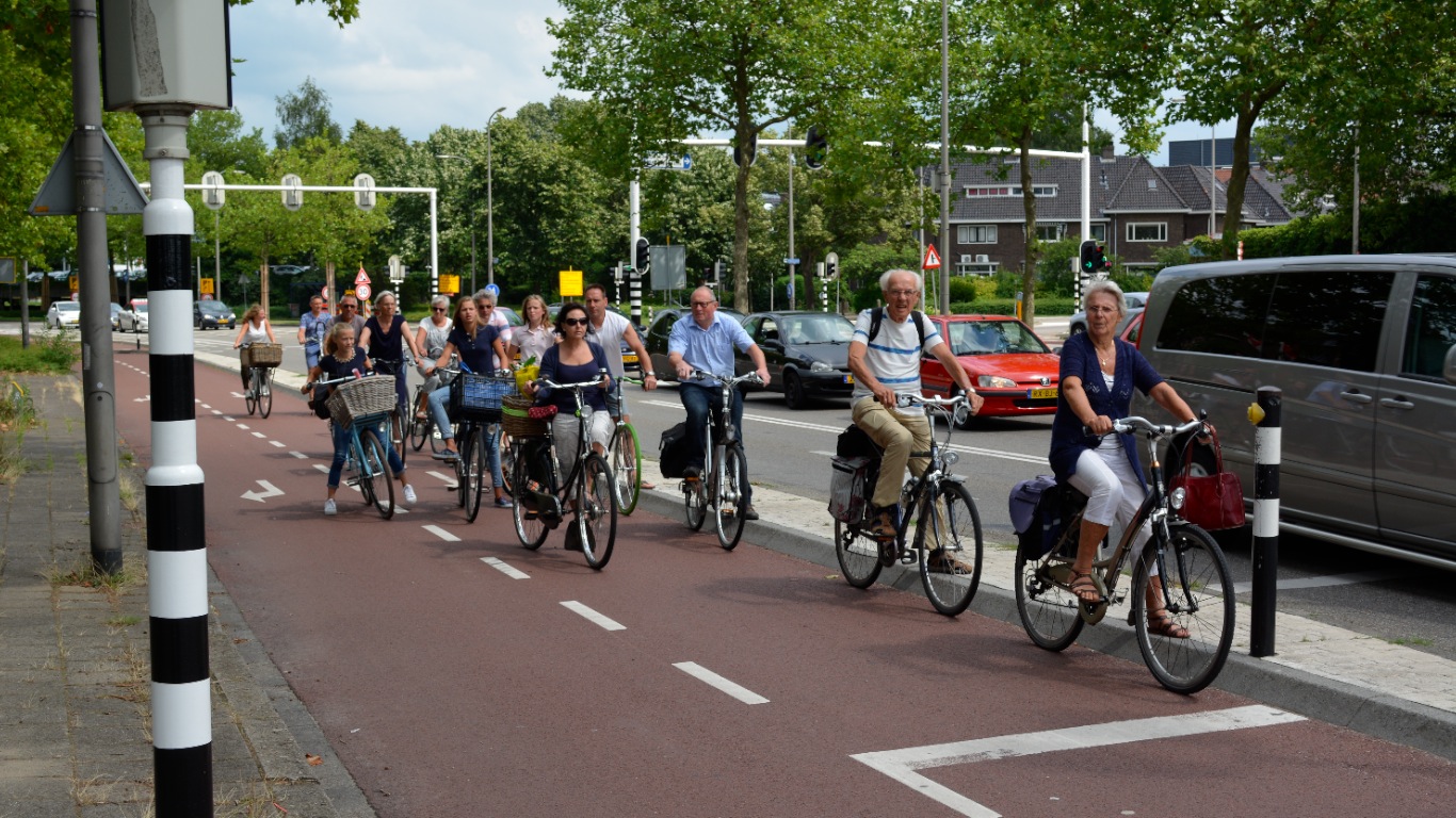 Велосипедная дорожка мопеды. Амстердам велодорожки. Дрезден велодорожки. Велосипедная дорожка Павловский Посад. Велосипедная дорожка в Янтарном.